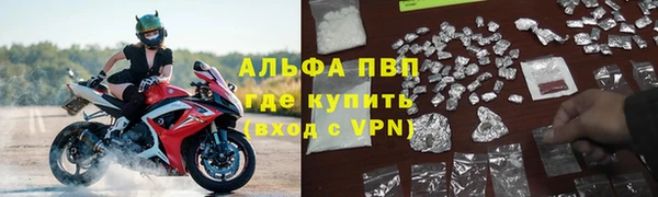 a pvp Аркадак