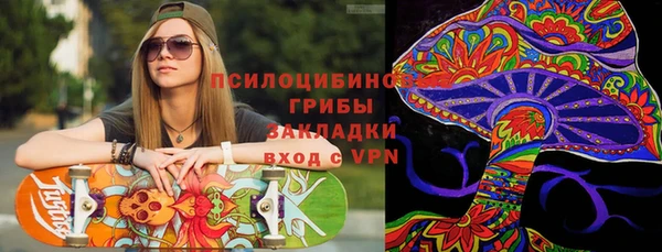 a pvp Аркадак