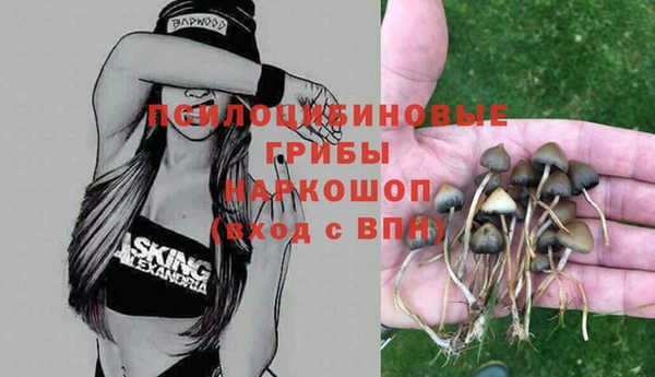 a pvp Аркадак