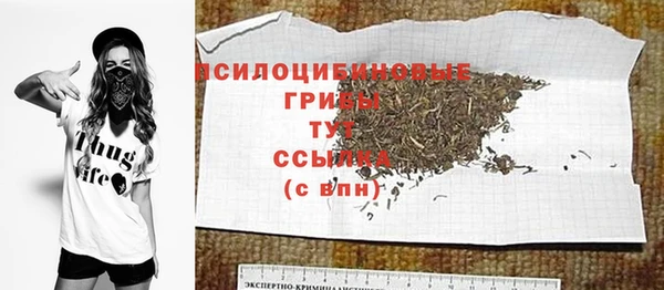 a pvp Аркадак