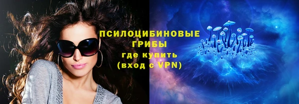 a pvp Аркадак