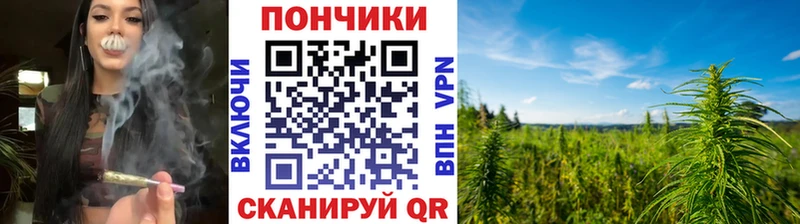 Конопля ГИДРОПОН Омутнинск